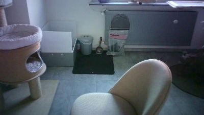 lefty99 live cam on Cam4