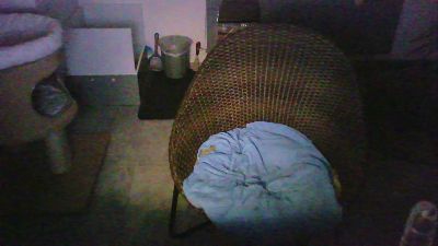 lefty99 live cam on Cam4
