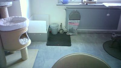 lefty99 live cam on Cam4