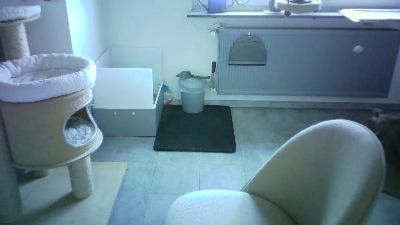 lefty99 live cam on Cam4
