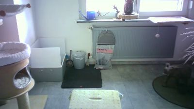 lefty99 live cam on Cam4