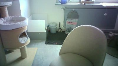 lefty99 live cam on Cam4