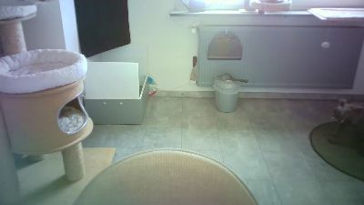 lefty99 live cam on Cam4