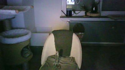 lefty99 live cam on Cam4