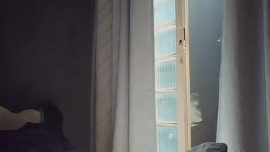 Preview of leomax18