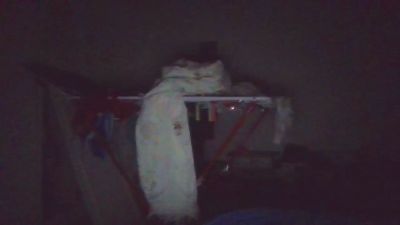 leshj live cam on Cam4