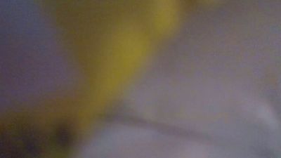 libidoys live cam on Cam4