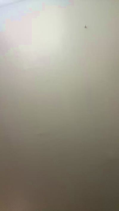lickherclit live cam on Cam4
