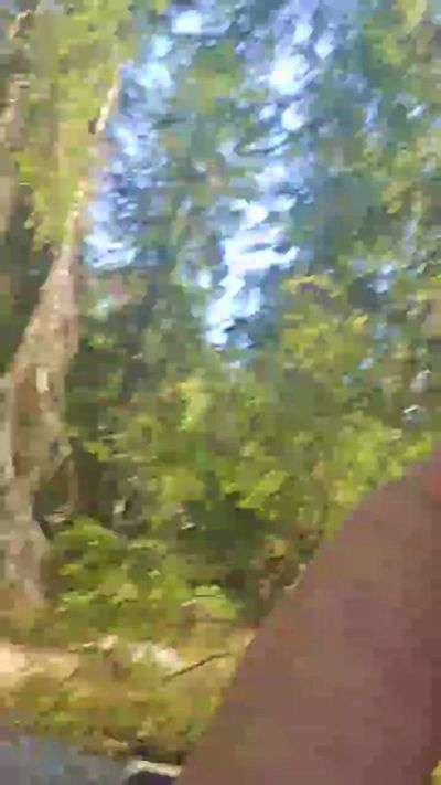 likescock5 live cam on Cam4