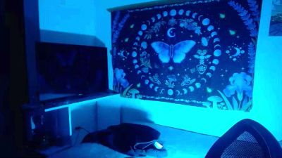 lilith_nyx333 live cam on Cam4
