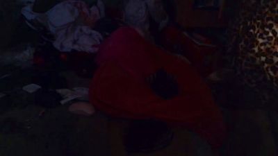 lishrimpdick live cam on Cam4