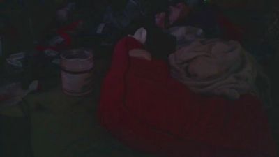 lishrimpdick live cam on Cam4