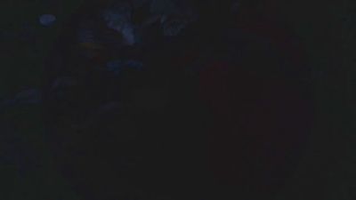 lishrimpdick live cam on Cam4
