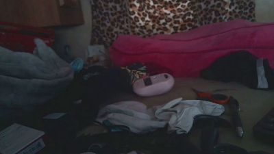lishrimpdick live cam on Cam4