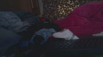 lishrimpdick live cam on Cam4