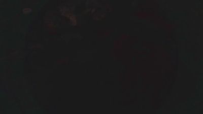 lishrimpdick live cam on Cam4