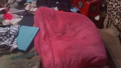 lishrimpdick live cam on Cam4
