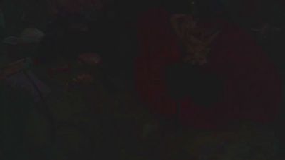 lishrimpdick live cam on Cam4