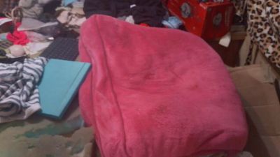 lishrimpdick live cam on Cam4