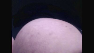 lorenitha_20 live cam on Cam4