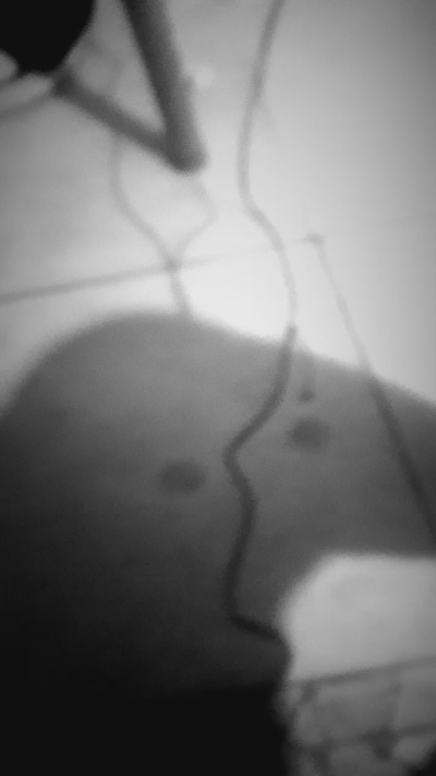 loteria221 live cam on Cam4