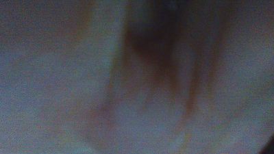 lu_51 live cam on Cam4
