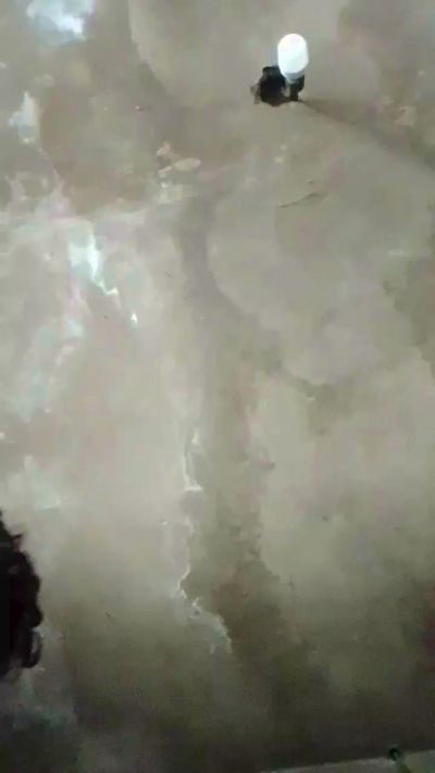 luis3963a2 live cam on Cam4