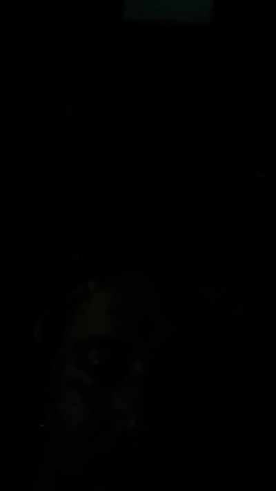 luiz1854 live cam on Cam4