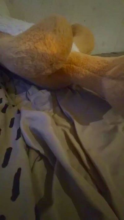 lulumpx2 live cam on Cam4