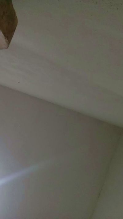 lupe3 live cam on Cam4