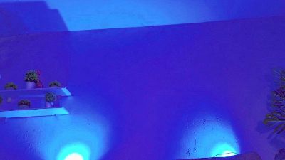 luxy_ary live cam on Cam4