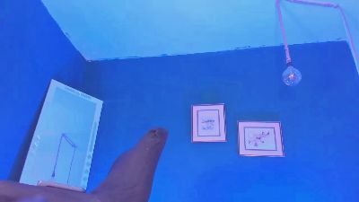 luxy_ary live cam on Cam4