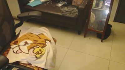 m0909753 live cam on Cam4