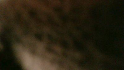 magichand4u2 live cam on Cam4