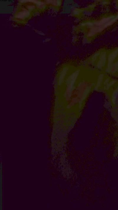 magro49 live cam on Cam4