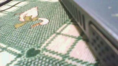 malatesta61 live cam on Cam4