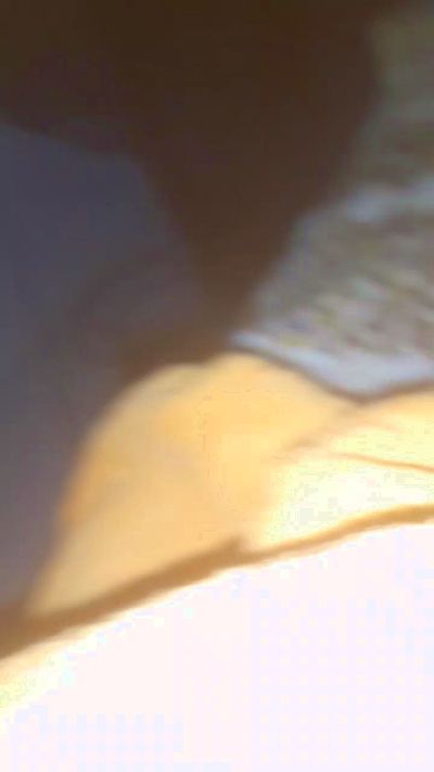 mambrasil live cam on Cam4
