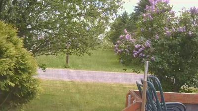 mapleman35 live cam on Cam4