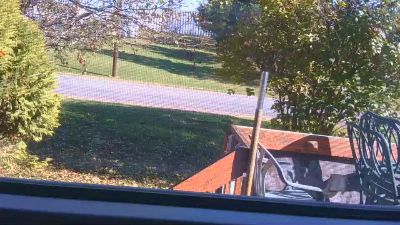 mapleman35 live cam on Cam4