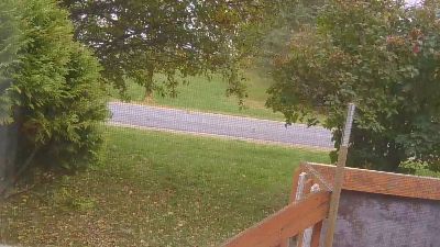 mapleman35 live cam on Cam4
