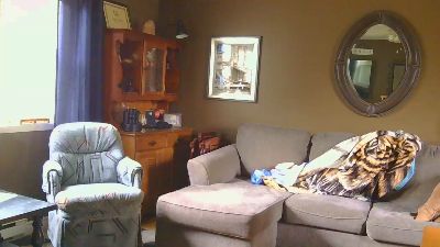 mapleman35 live cam on Cam4