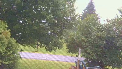 mapleman35 live cam on Cam4