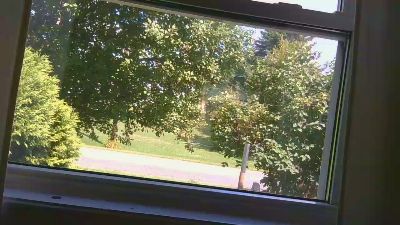 mapleman35 live cam on Cam4