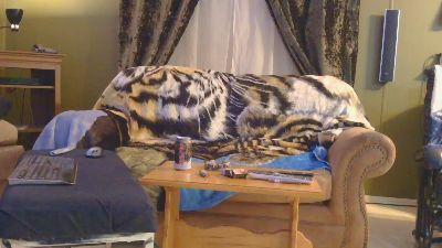 mapleman35 live cam on Cam4