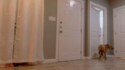 marge_agnes live cam on Cam4