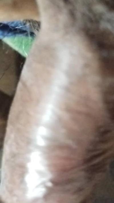 marius2365xxx live cam on Cam4