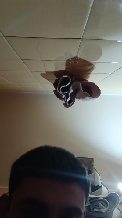 martin2947 live cam on Cam4