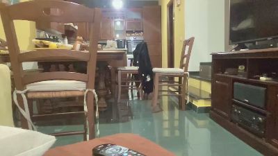martinabigst live cam on Cam4