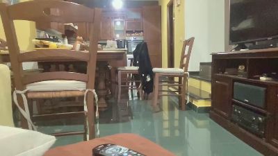 martinabigst live cam on Cam4