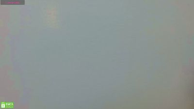 maxim_rod live cam on Cam4